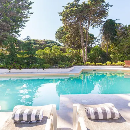 Maxima * Коларес