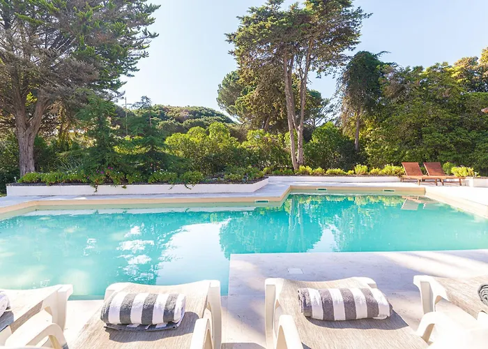 Maxima * Коларес