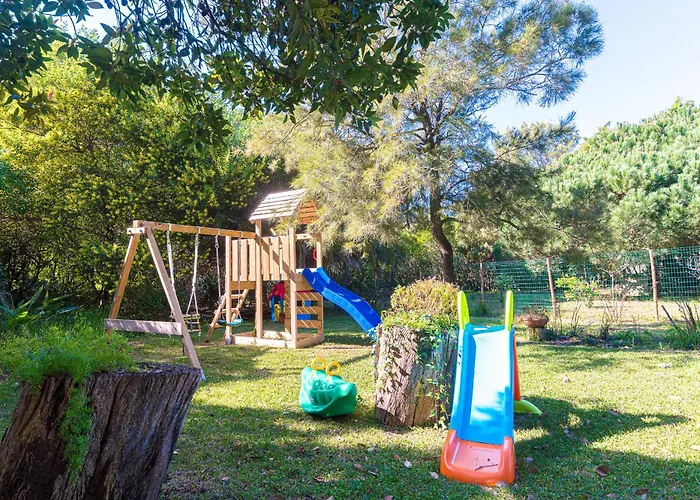 Maxima Коларес